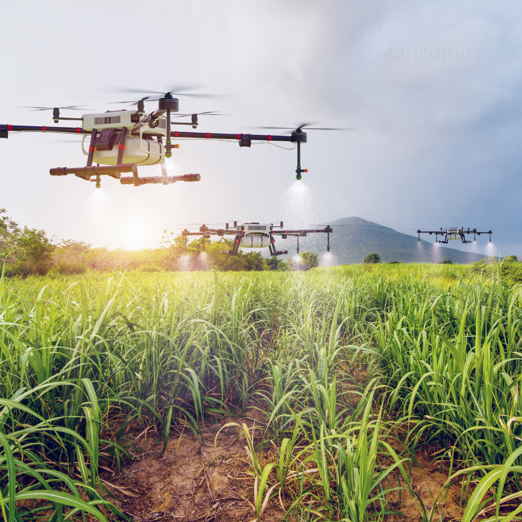 Agricultural Infrastructure